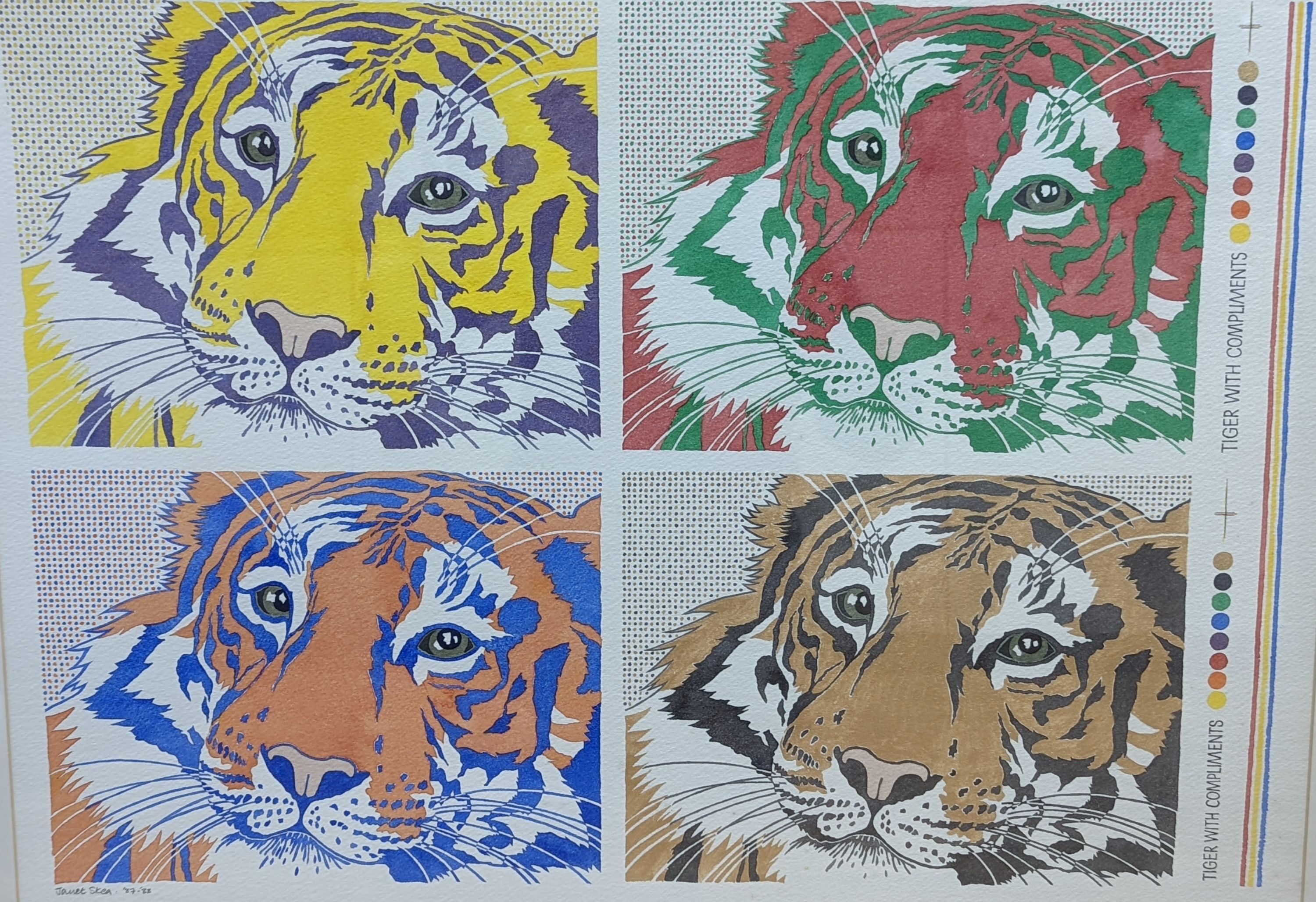 Janet Skea (1947-) watercolour, 'Tiger with compliments', signed and dated '87, 50 x 70cm